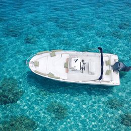 Boston Whaler 220 Dauntless | 10