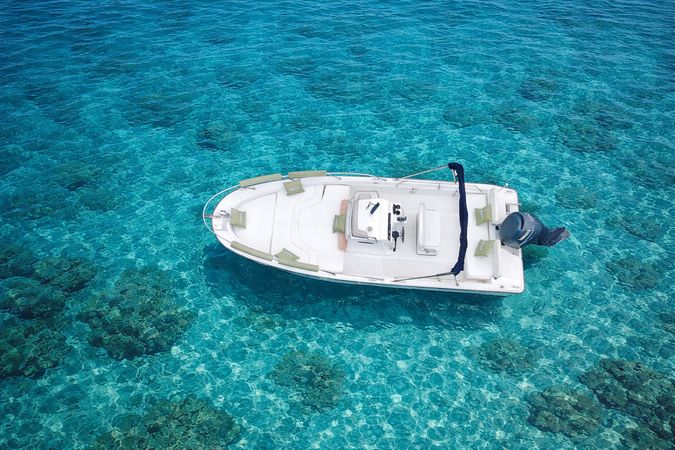 Boston Whaler 220 Dauntless | 10
