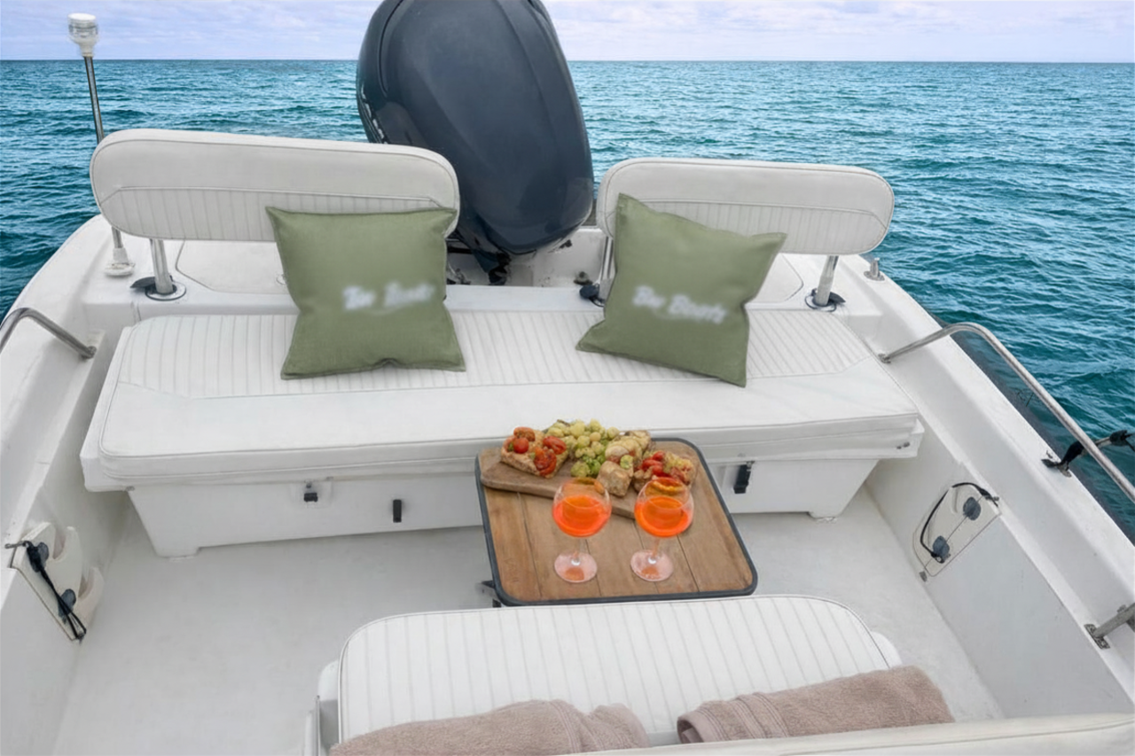 Boston Whaler 220 Dauntless | 10