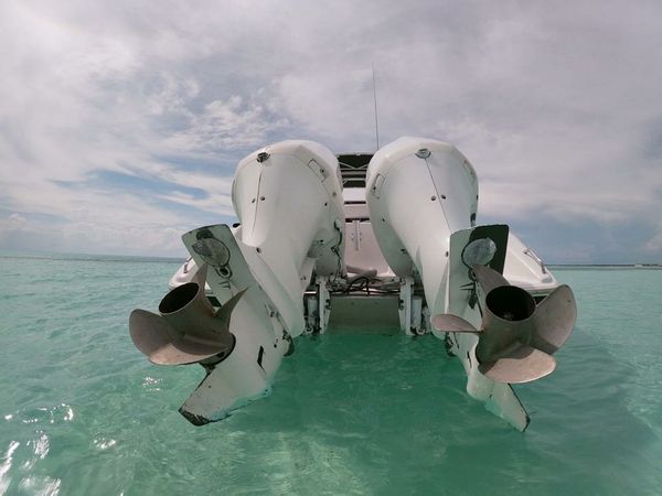 Custom Built 36 | Fury