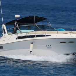 Sea Ray 39 | Sirius