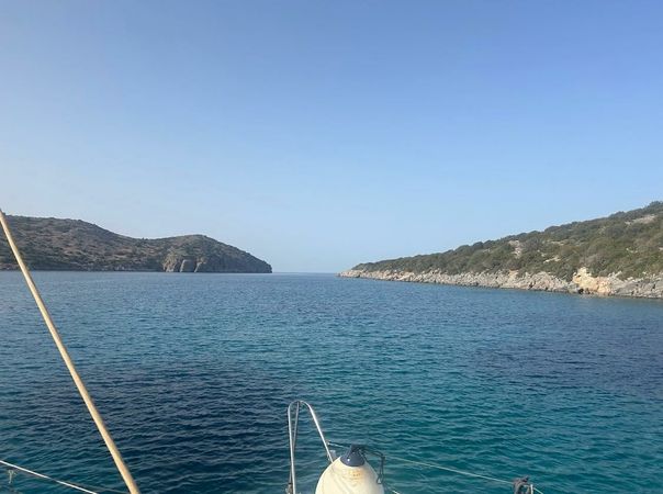 Katri Eco Cat | Steamy