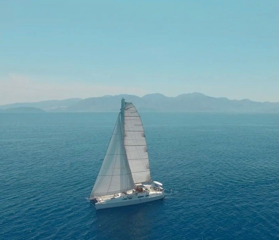 Katri Eco Cat | Steamy