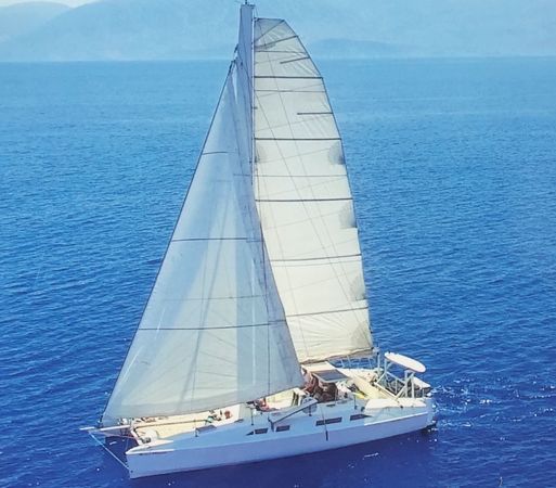 Katri Eco Cat | Steamy