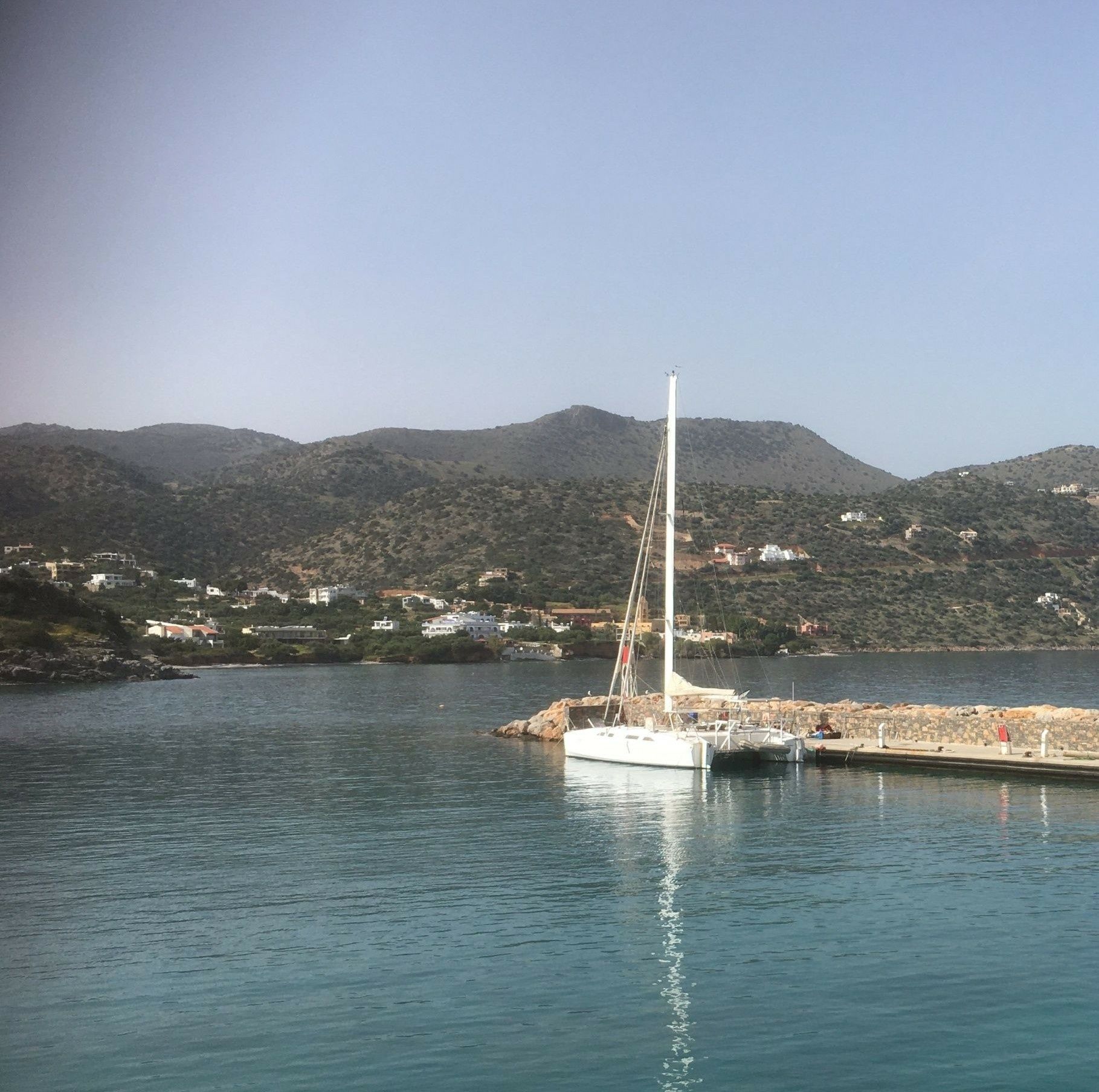 Katri Eco Cat | Steamy