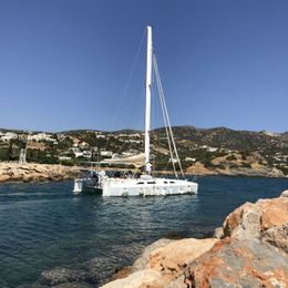 Katri Eco Cat | Steamy