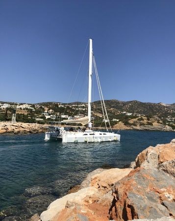 Katri Eco Cat | Steamy