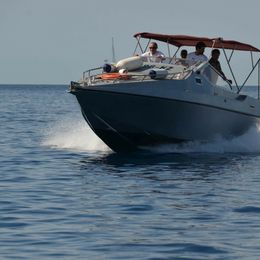 Cobra Yachts 33 | 87