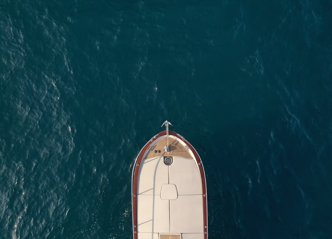 VD Ingenito Open 8.30 | 24