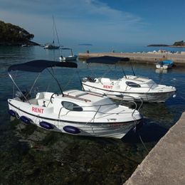 Sport Mare 500 | 22-1