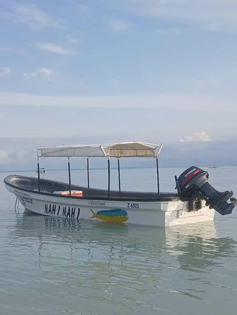 Custom Built 24 | Mahi Mahi