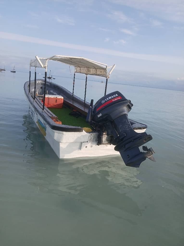 Custom Built 24 | Mahi Mahi