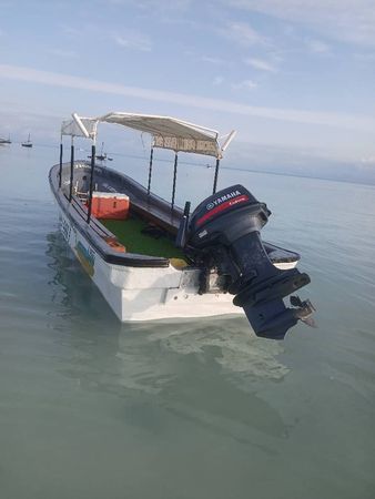 Custom Built 24 | Mahi Mahi