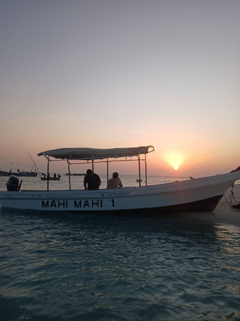 Custom Built 24 | Mahi Mahi