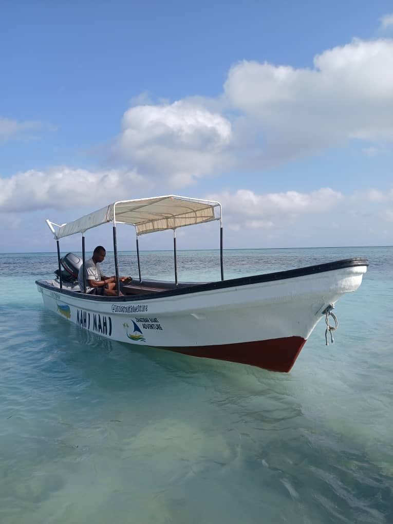 Custom Built 24 | Mahi Mahi