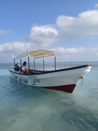 Custom Built 24 | Mahi Mahi