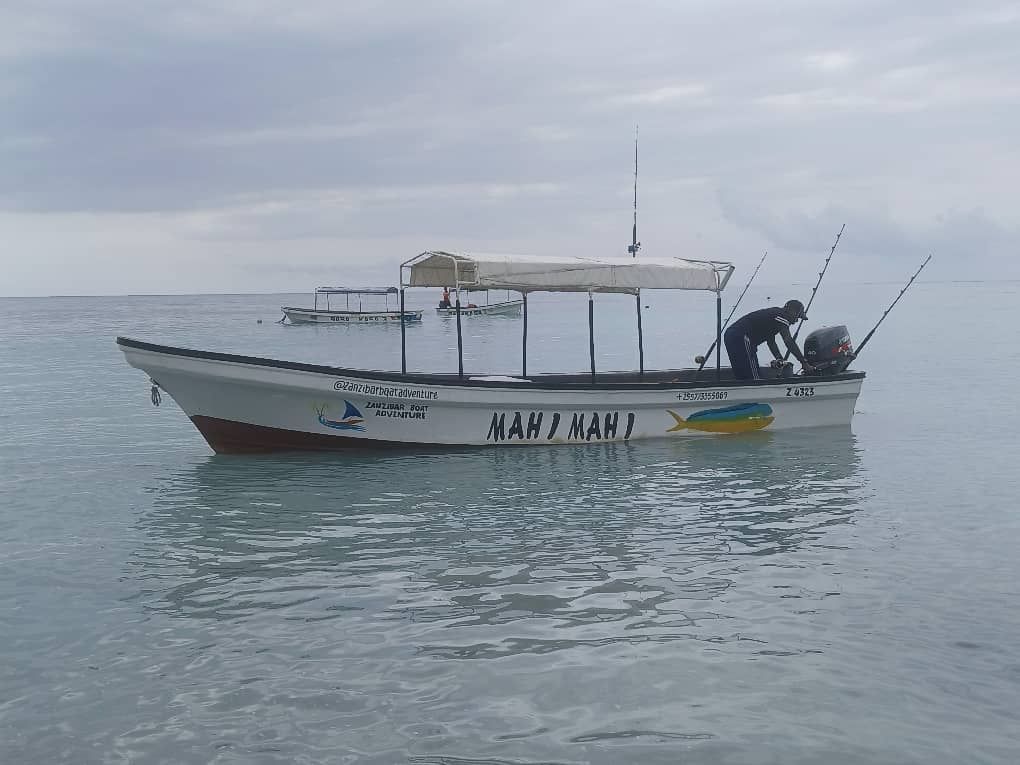 Custom Built 24 | Mahi Mahi