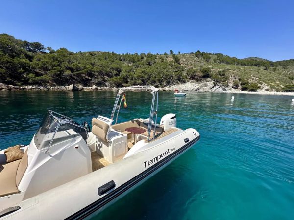 Capelli Tempest 800 | 19