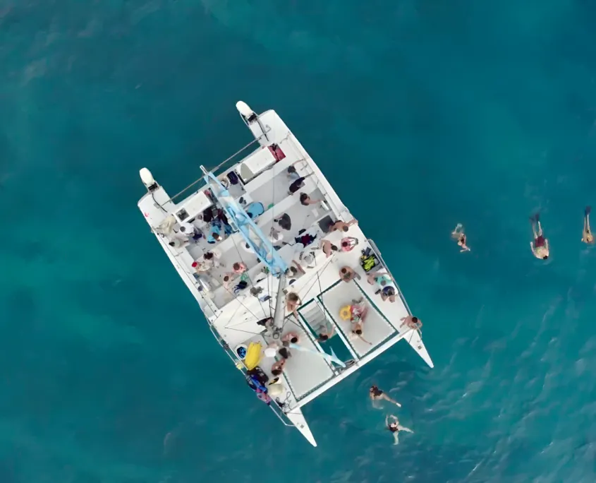 Custom Built 40 | Island Magic