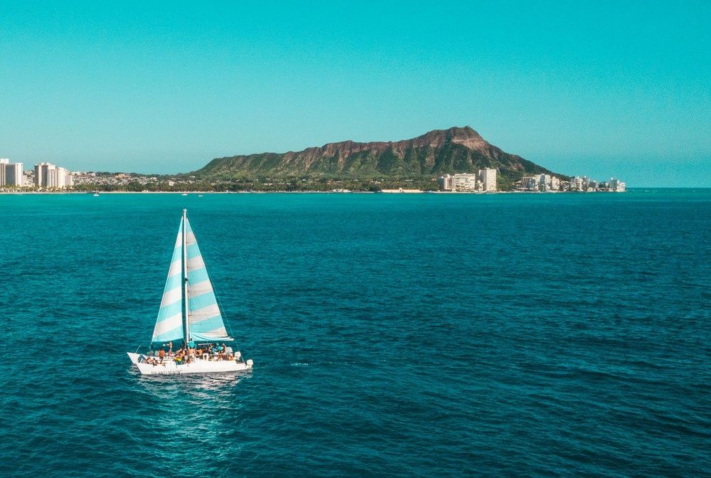 Custom Built 40 | Island Magic