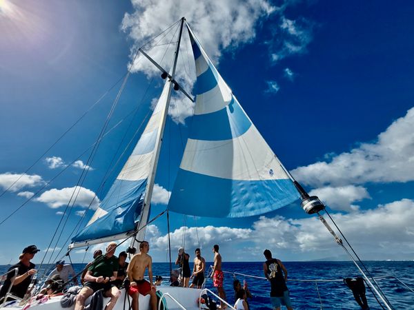 Custom Built 36 | Island Magic