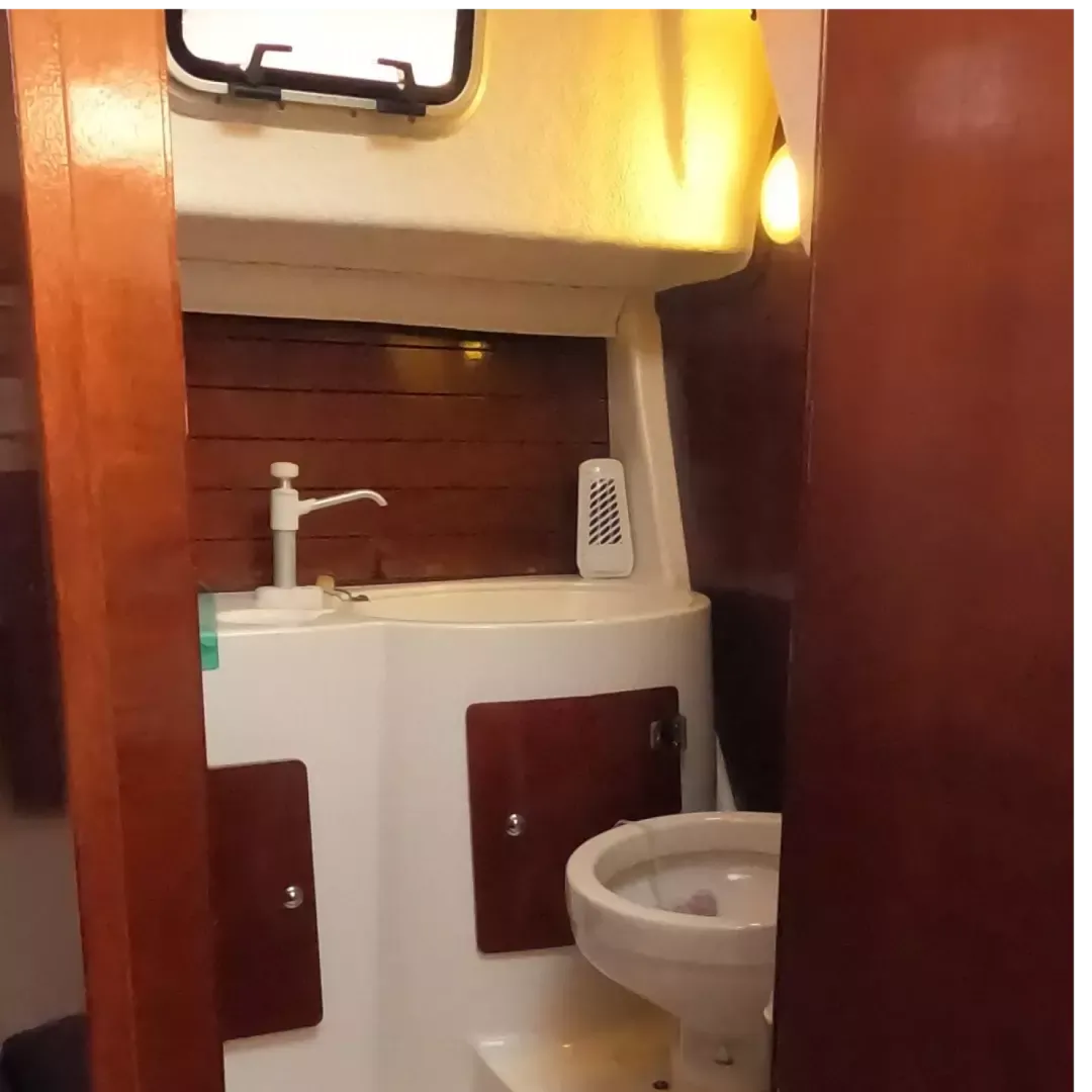 Astraea 235 Sprinter | Azimut