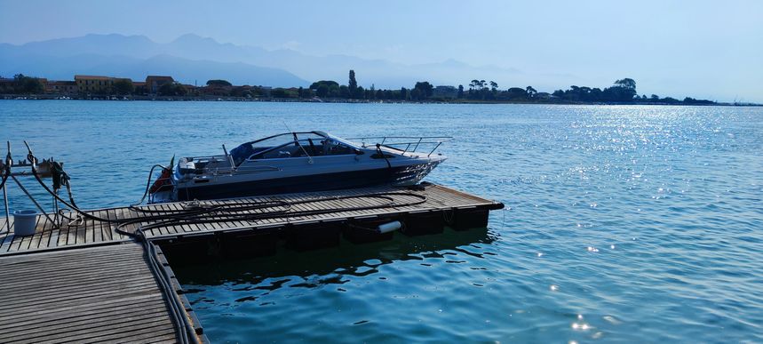 Bayliner 1950 | Faro