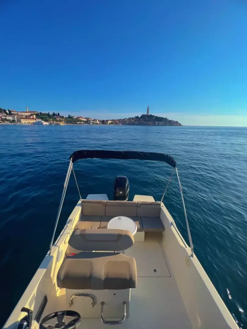 Quicksilver 755 | 19