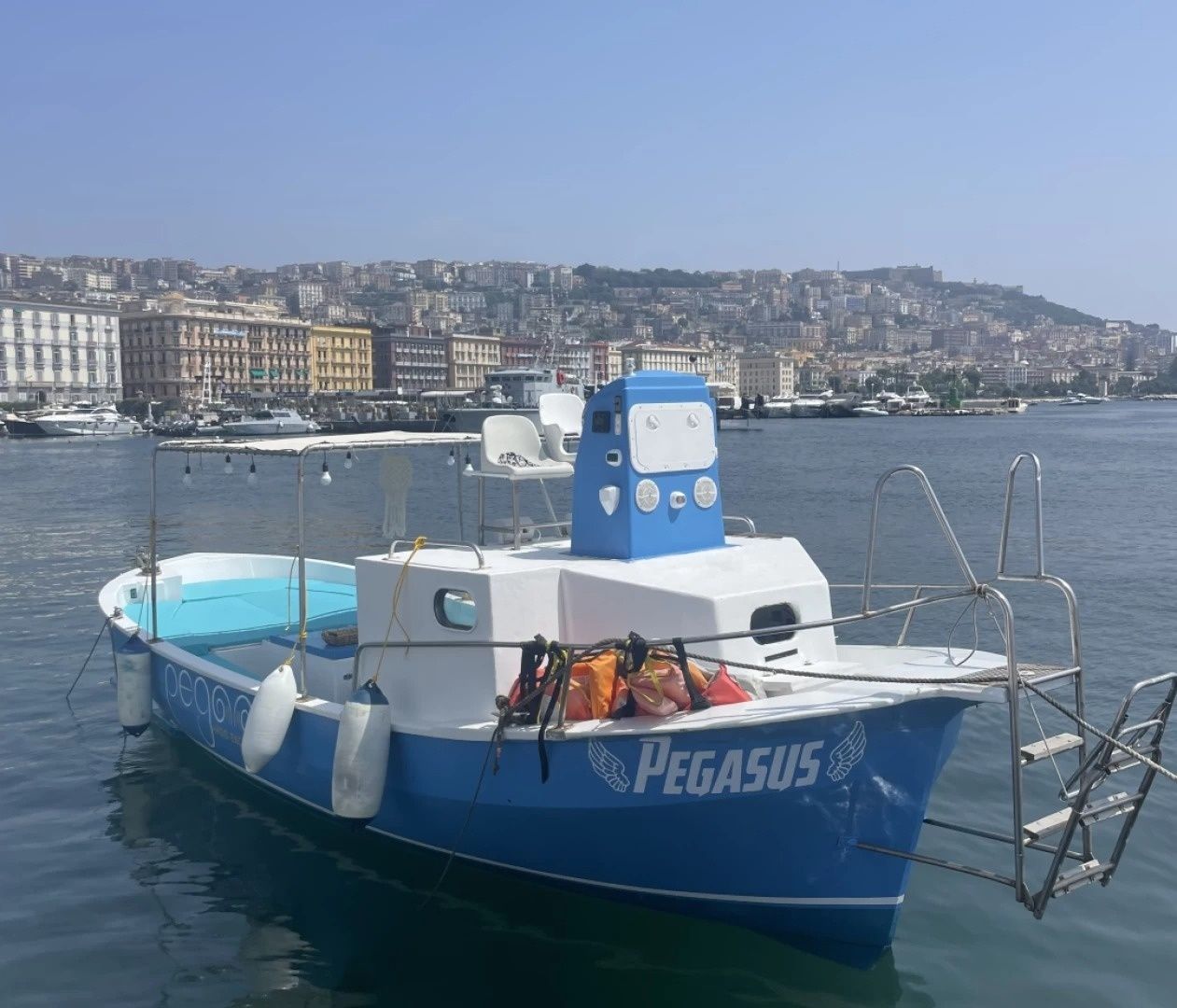 Lancia Custom 8.5 | Pegaso