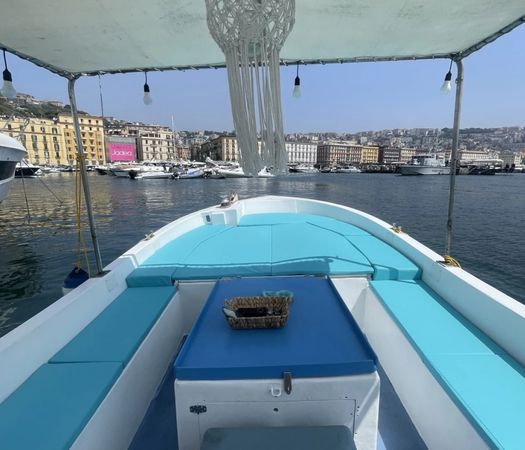 Lancia Custom 8.5 | Pegaso