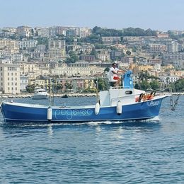 Lancia Custom 8.5 | Pegaso