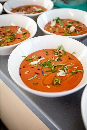 Fountaine Pajot Saba 50 | Purpose