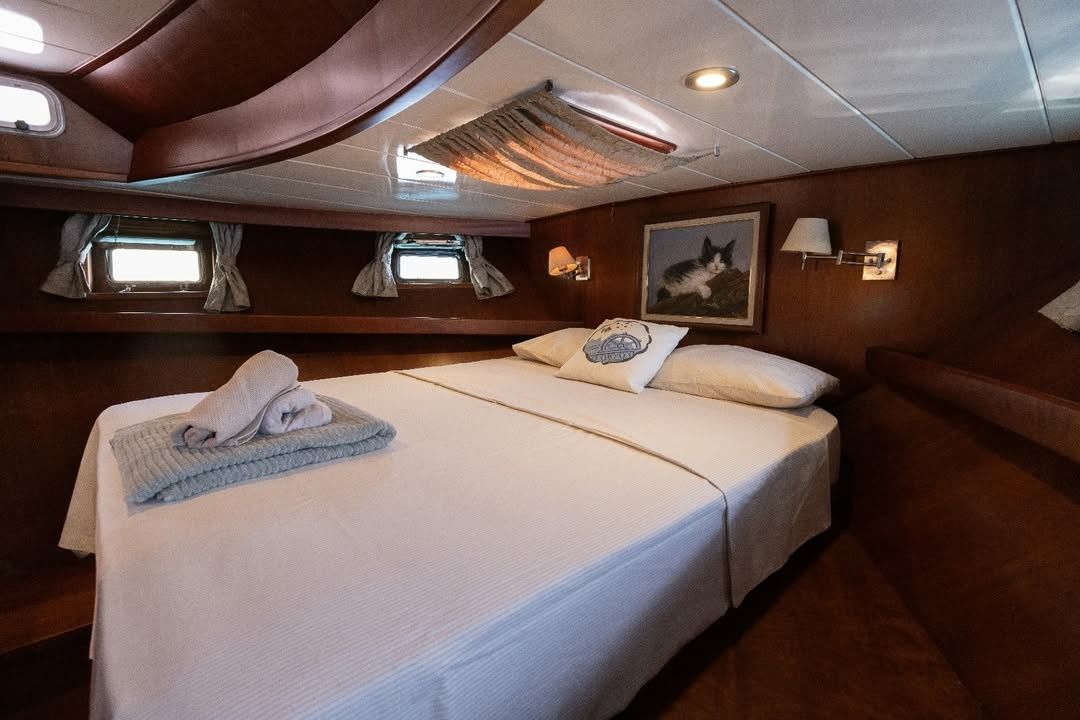 Custom Built 56 | BonaV