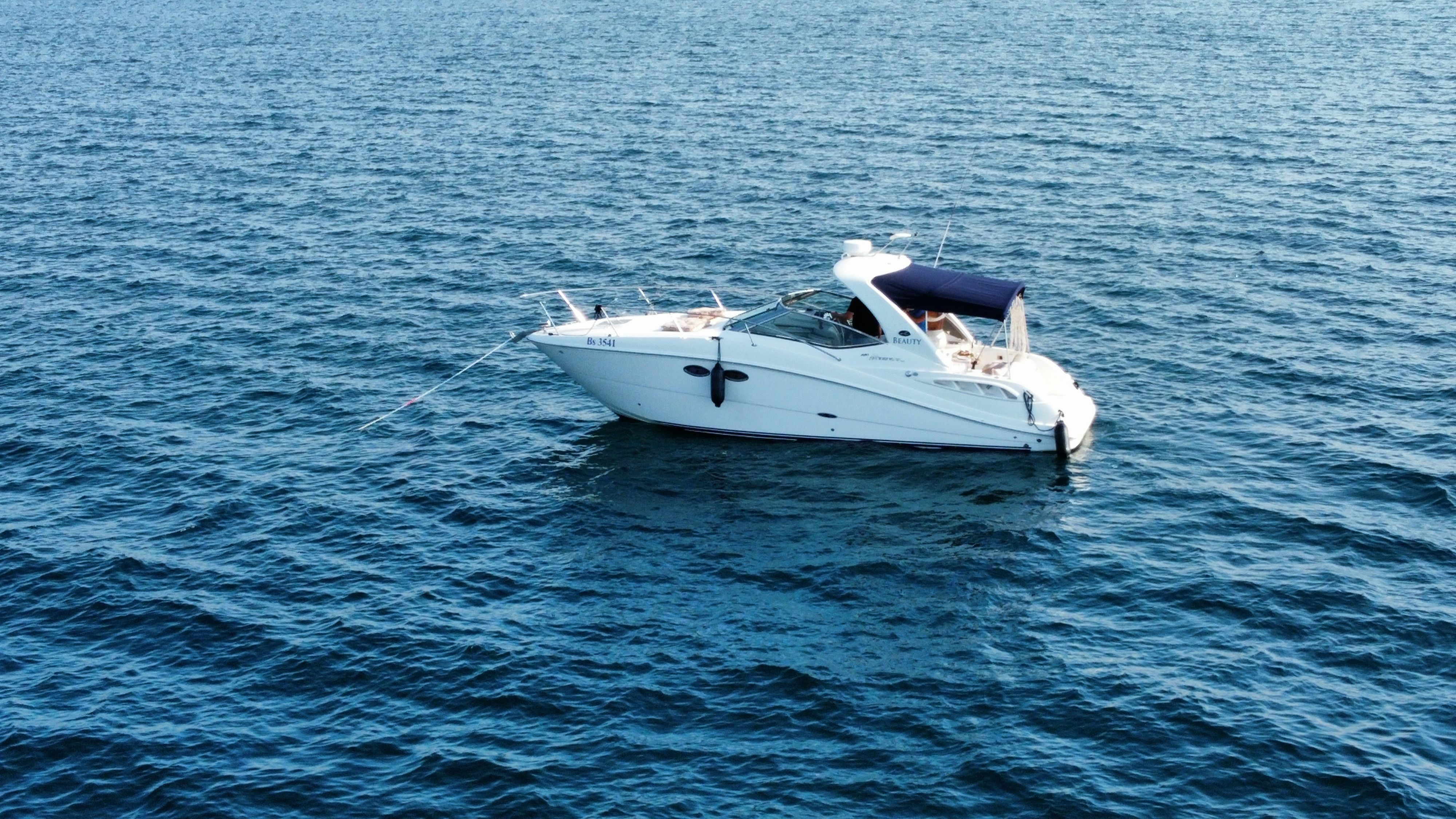 Sea Ray 290 | Beauty