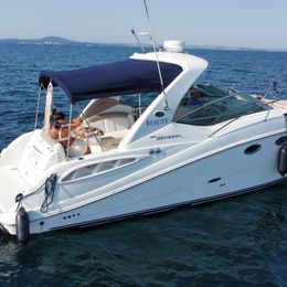 Sea Ray 290 | Beauty
