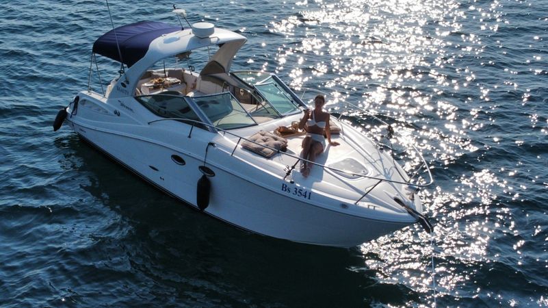 Sea Ray 290 | Beauty