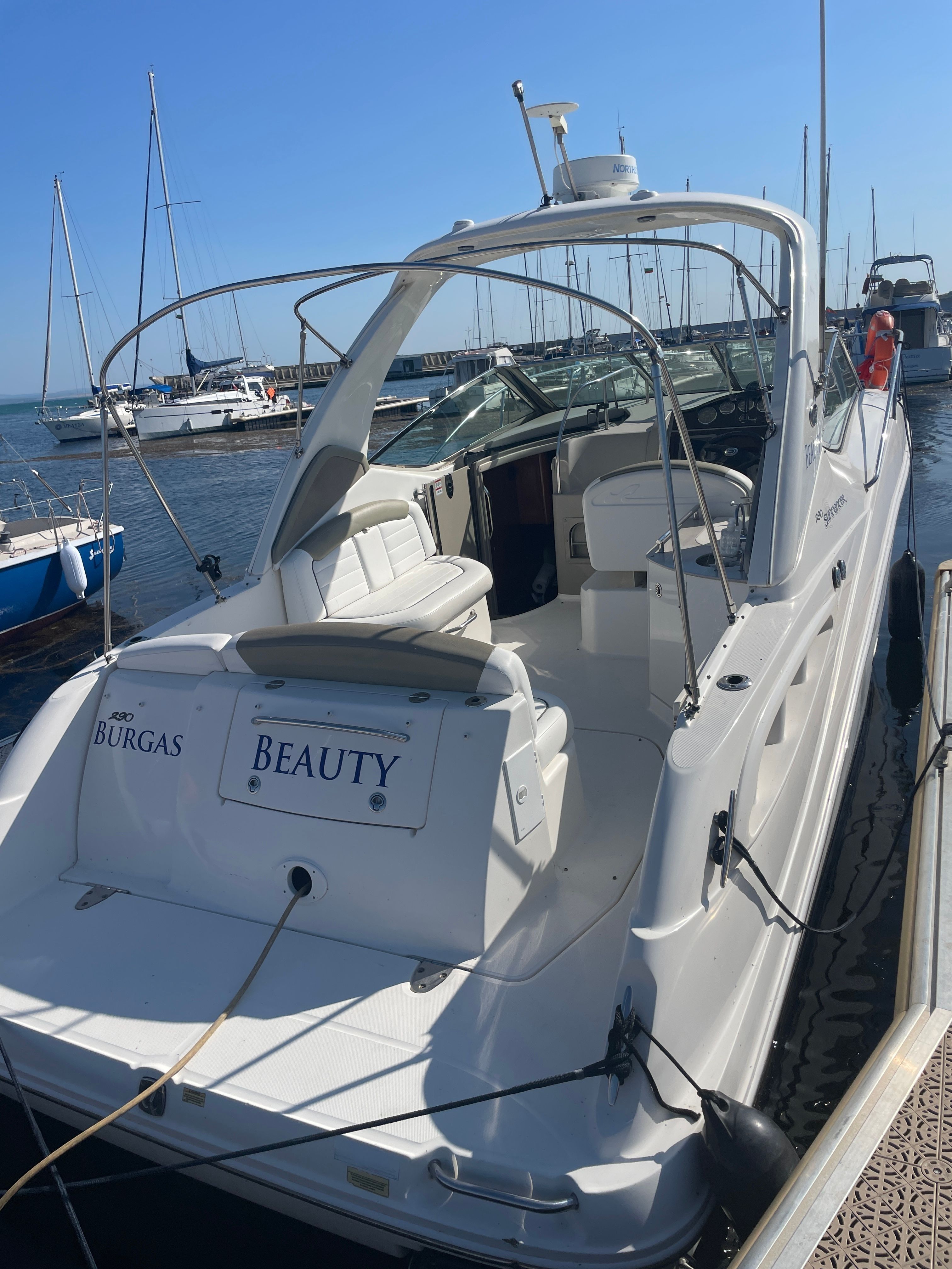 Sea Ray 290 | Beauty