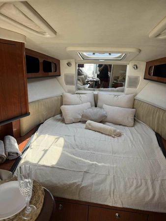 Sea Ray 290 | Beauty