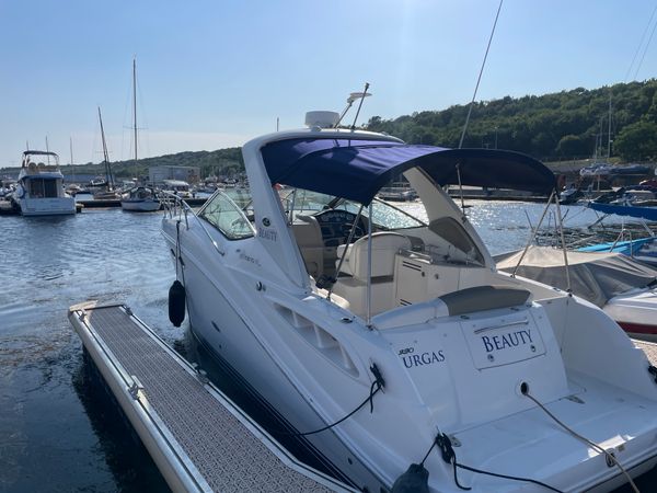 Sea Ray 290 | Beauty