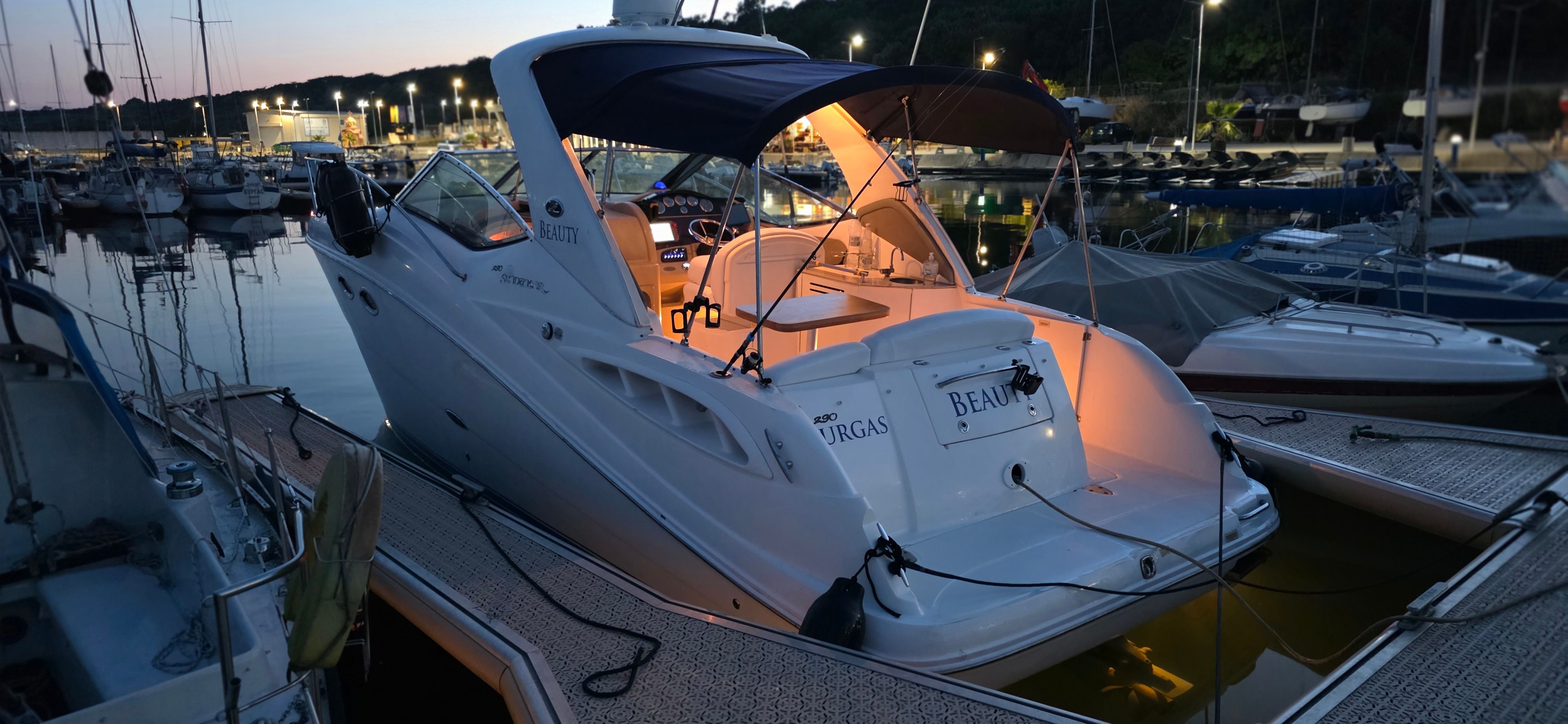 Sea Ray 290 | Beauty