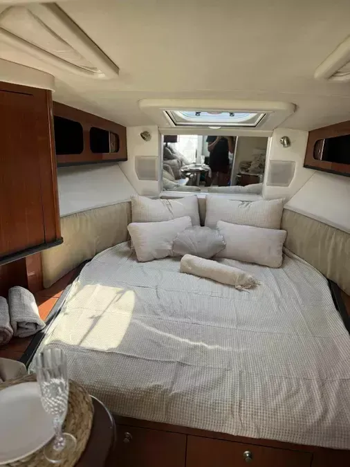 Sea Ray 290 | Beauty