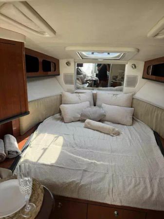 Sea Ray 290 | Beauty