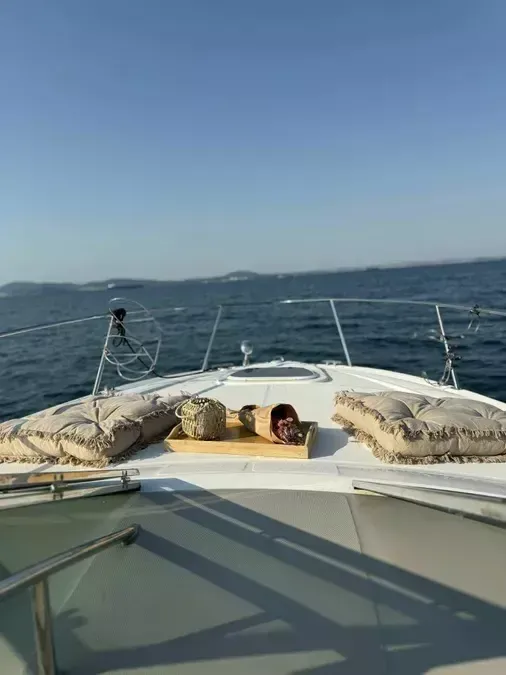Sea Ray 290 | Beauty