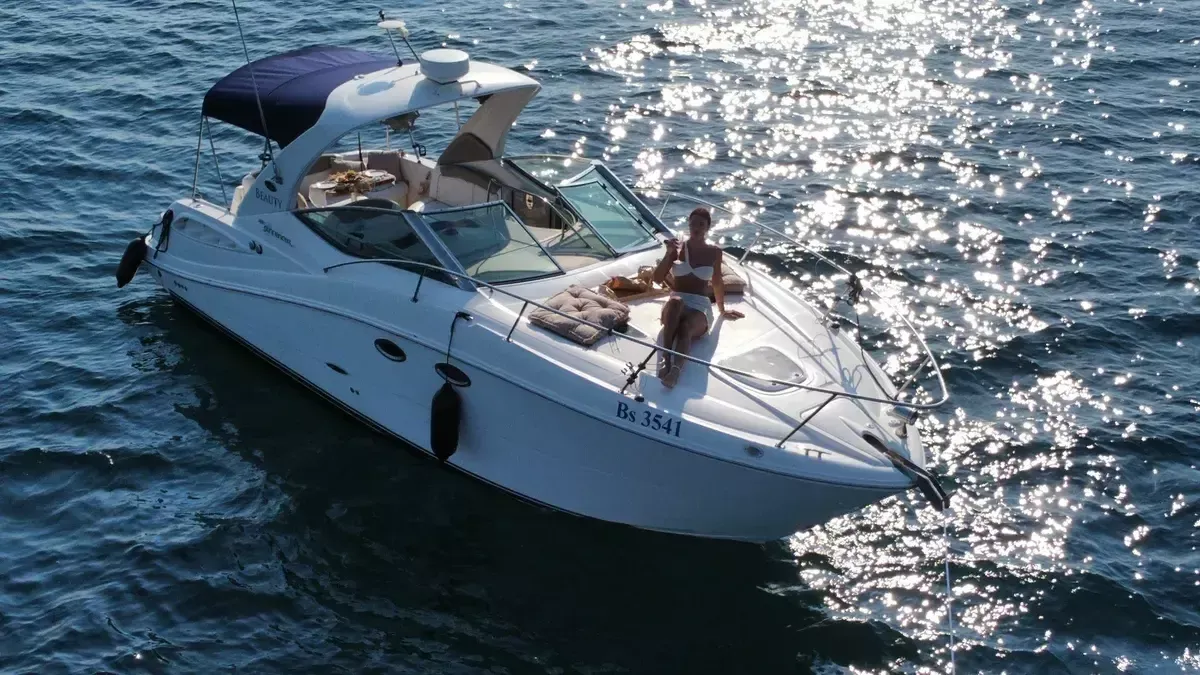 Sea Ray 290 | Beauty
