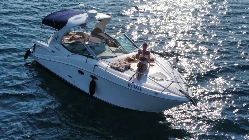 Sea Ray 290 | Beauty