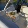 Sea Ray 290 | Beauty
