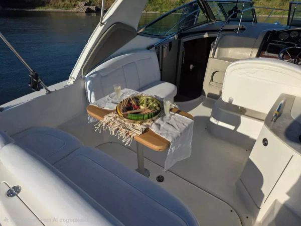Sea Ray 290 | Beauty