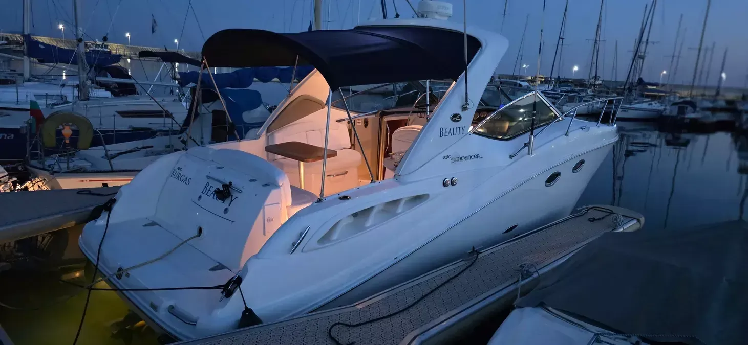 Sea Ray 290 | Beauty