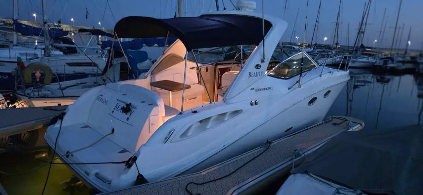 Sea Ray 290 | Beauty