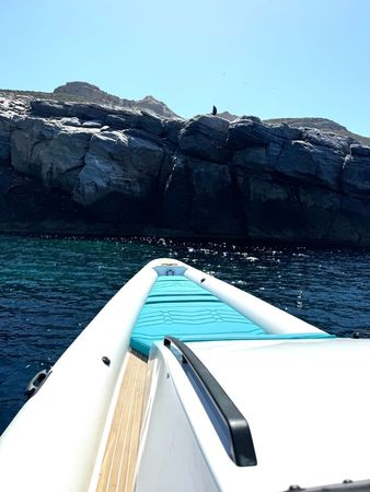 Zen Marine 40 | Cyanius